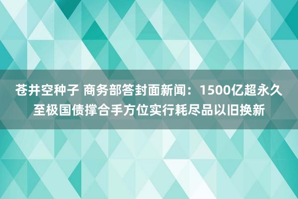 苍井空种子 商务部答封面新闻：1500亿超永久至极国债撑合手方位实行耗尽品以旧换新