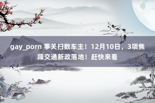 gay_porn 事关扫数车主！12月10日，3项焦躁交通新政落地！赶快来看