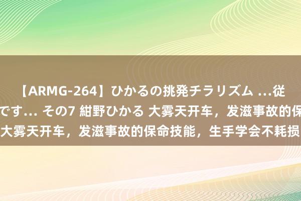 【ARMG-264】ひかるの挑発チラリズム …従妹が小悪魔すぎて困るんです… その7 紺野ひかる 大雾天开车，发滋事故的保命技能，生手学会不耗损！