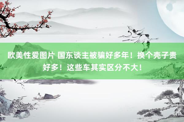 欧美性爱图片 国东谈主被骗好多年！换个壳子贵好多！这些车其实区分不大！