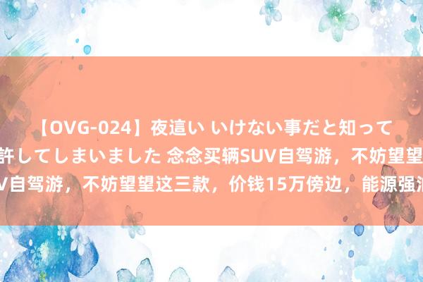 【OVG-024】夜這い いけない事だと知っていたけど生中出しまで許してしまいました 念念买辆SUV自驾游，不妨望望这三款，价钱15万傍边，能源强油耗低