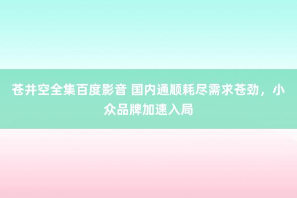 苍井空全集百度影音 国内通顺耗尽需求苍劲，小众品牌加速入局