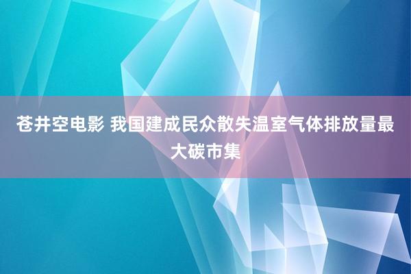 苍井空电影 我国建成民众散失温室气体排放量最大碳市集