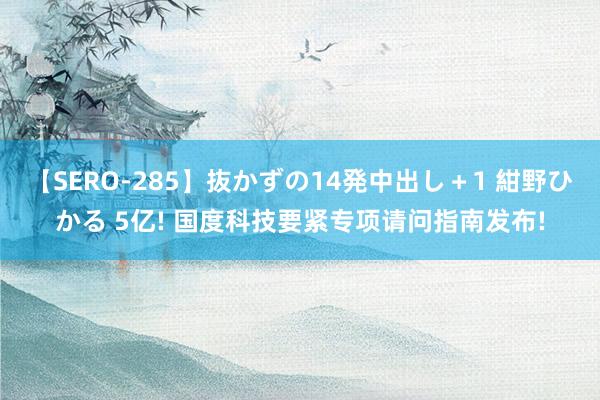 【SERO-285】抜かずの14発中出し＋1 紺野ひかる 5亿! 国度科技要紧专项请问指南发布!