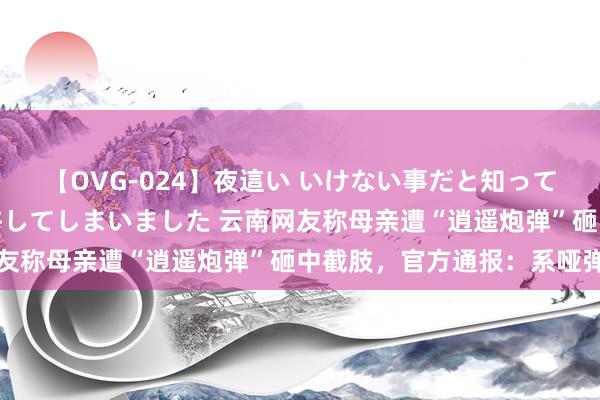 【OVG-024】夜這い いけない事だと知っていたけど生中出しまで許してしまいました 云南网友称母亲遭“逍遥炮弹”砸中截肢，官方通报：系哑弹