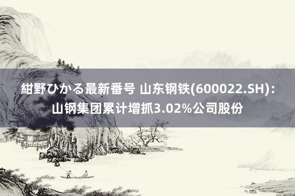 紺野ひかる最新番号 山东钢铁(600022.SH)：山钢集团累计增抓3.02%公司股份