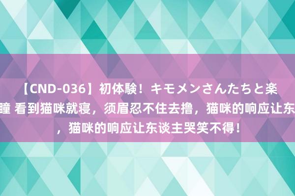 【CND-036】初体験！キモメンさんたちと楽しいセックス 瞳 看到猫咪就寝，须眉忍不住去撸，猫咪的响应让东谈主哭笑不得！