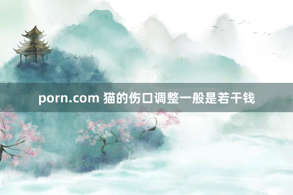 porn.com 猫的伤口调整一般是若干钱