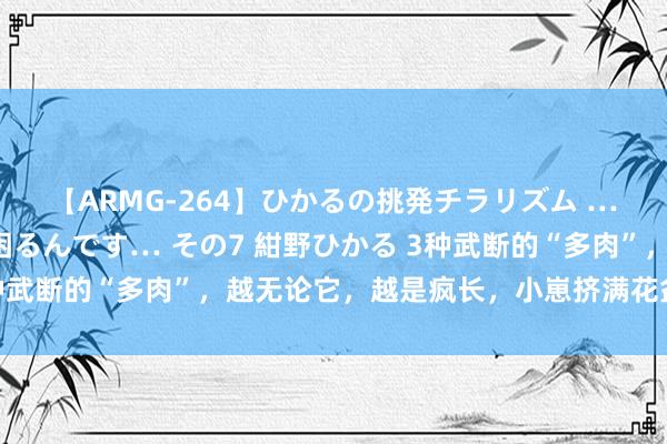 【ARMG-264】ひかるの挑発チラリズム …従妹が小悪魔すぎて困るんです… その7 紺野ひかる 3种武断的“多肉”，越无论它，越是疯长，小崽挤满花盆很繁盛