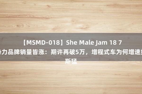 【MSMD-018】She Male Jam 18 7月新势力品牌销量皆涨：期许再破5万，增程式车为何增速如斯猛