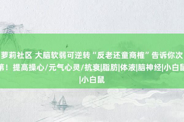 萝莉社区 大脑软弱可逆转“反老还童商榷”告诉你次第！提高操心/元气心灵/抗衰|脂肪|体液|脑神经|小白鼠